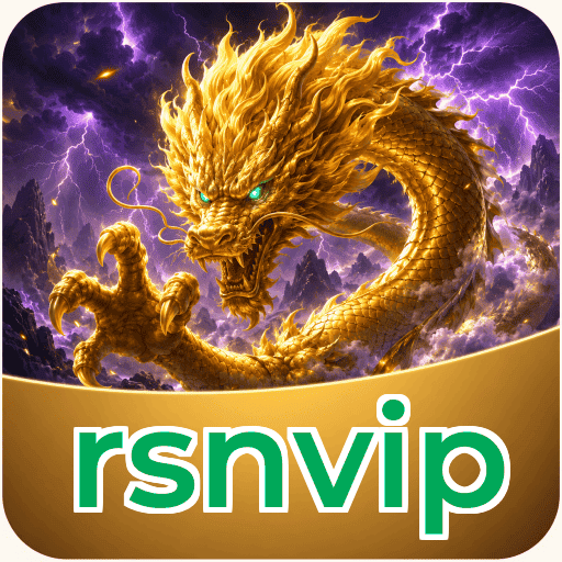 Audit profile rsnvip
